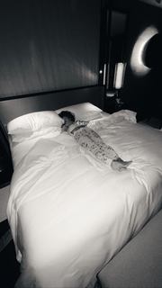 Ashley Nocera feet photo thumbnail