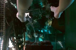 Ashley Scott feet photo thumbnail
