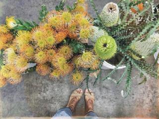 Ashley Sky feet photo 1