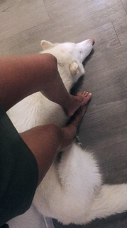 Ashley Sky feet photo 7
