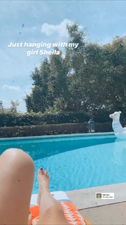 Ashley Tisdale feet photo thumbnail