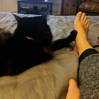 Ashly Burch feet photo thumbnail
