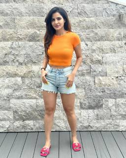 Ashu Reddy feet photo 17
