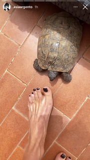 Asia Argento feet photo thumbnail