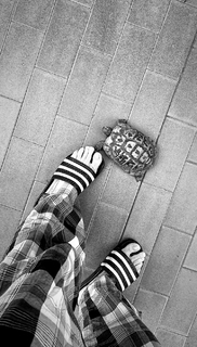 Asia Argento feet photo thumbnail
