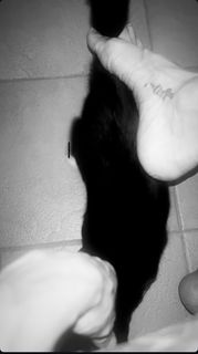 Asia Argento feet photo thumbnail