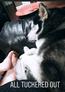 Aspen Ladd feet photo 10
