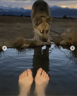 Aspen Ladd feet photo 12