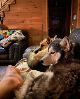 Aspen Ladd feet photo 11