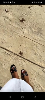 Astrid Nelsia feet photo thumbnail