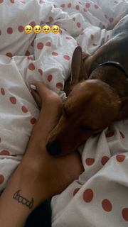 Astrid Nelsia feet photo thumbnail