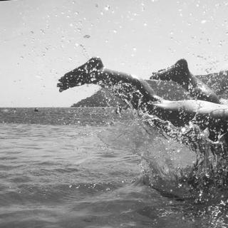 Athina Oikonomakou feet photo thumbnail