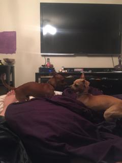 Aubrey Kate feet photo 5