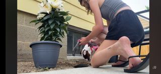 Audra Miller feet photo 9