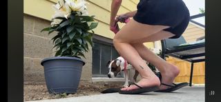 Audra Miller feet photo 8