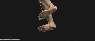 Audrey Dana feet photo 4