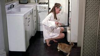 Audrey Hepburn feet photo thumbnail