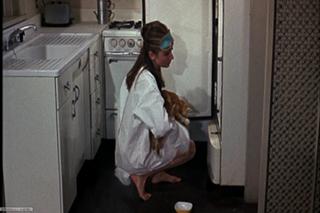 Audrey Hepburn feet photo thumbnail