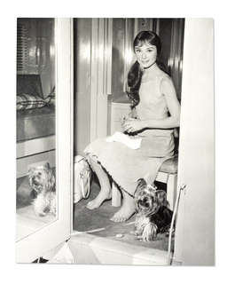 Audrey Hepburn feet photo thumbnail