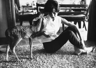 Audrey Hepburn feet photo thumbnail