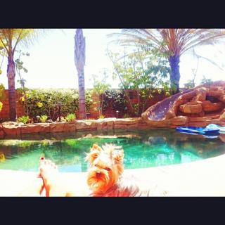 Audrina Patridge feet photo thumbnail