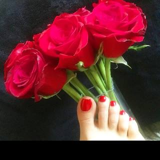 Aundrea Seagren feet photo 7