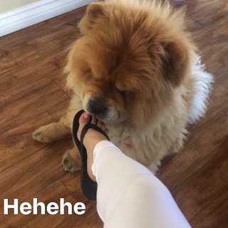 Aundrea Seagren feet photo 16