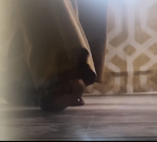 Aunjanue Ellis feet photo 10