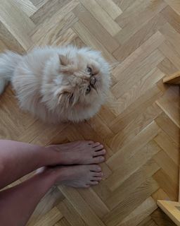Aurora Carbonell feet photo 12