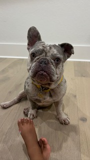 Ava Dash feet photo 13