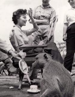 Ava Gardner feet photo thumbnail