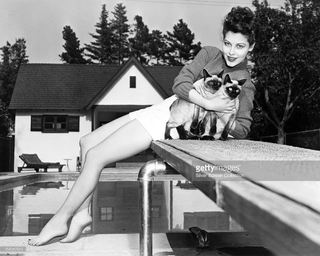 Ava Gardner feet photo thumbnail