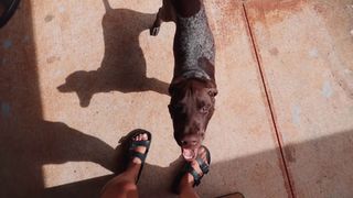 Ava Jules feet photo 1