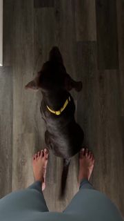 Ava Jules feet photo 5