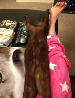 Aya Hirano feet photo thumbnail