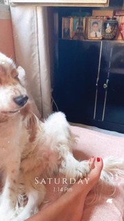 Aya Selim feet photo thumbnail