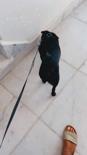 Aya Selim feet photo thumbnail