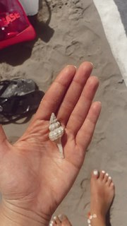 Aya Selim feet photo thumbnail