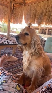 Aya Selim feet photo thumbnail