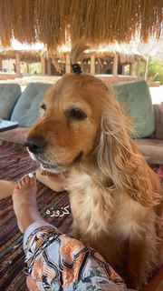 Aya Selim feet photo thumbnail