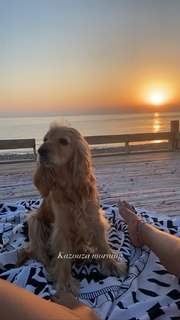 Aya Selim feet photo thumbnail