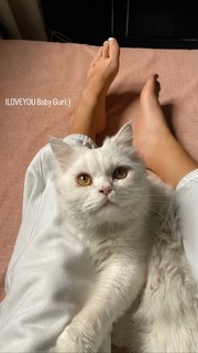 Aya Selim feet photo thumbnail