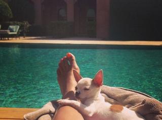Ayem Nour feet photo thumbnail