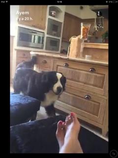 Ayem Nour feet photo thumbnail