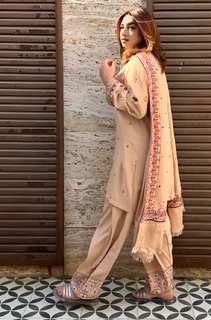 Ayesha Butt feet photo 15