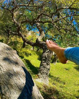 Ayesha Omer feet photo thumbnail
