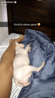 Ayisha Diaz feet photo thumbnail