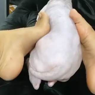 Ayisha Diaz feet photo thumbnail