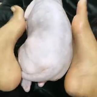 Ayisha Diaz feet photo thumbnail