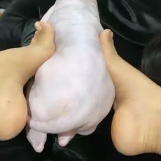 Ayisha Diaz feet photo thumbnail